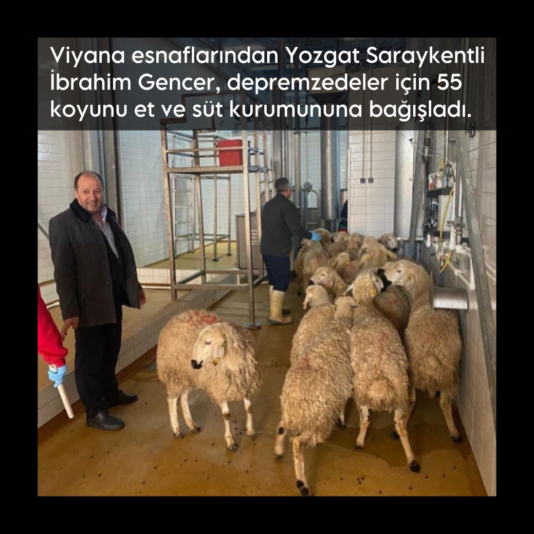 Viyanalı esnaftan örnek bağış