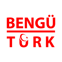 Bengü Türk