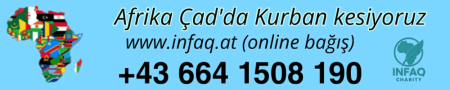 Banner - 197