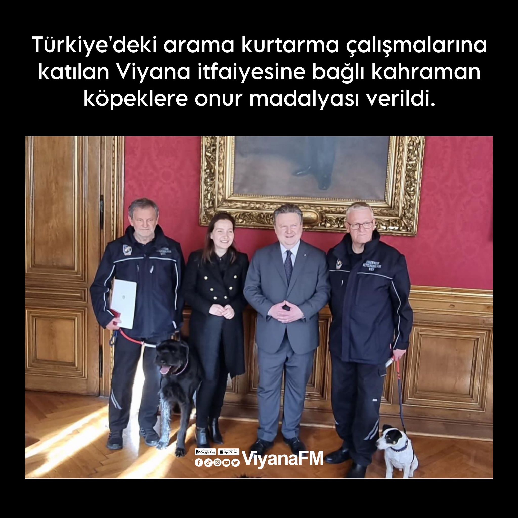 Kahraman köpekler unutulmadı